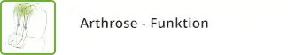 Arthrosefunktion