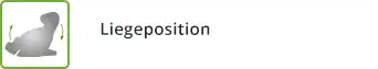 Liegeposition