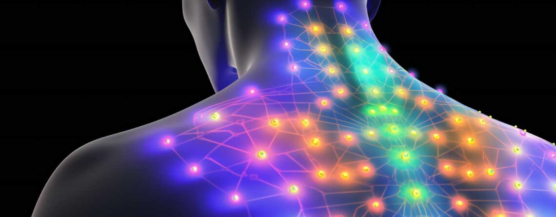 Faszien Beschwerden - Massagesessel Blog