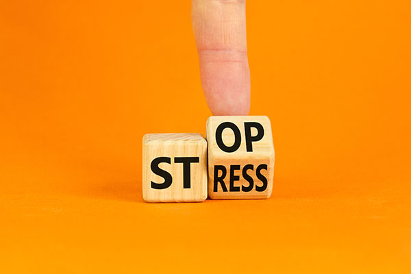 Raus aus der Stressfalle Raus aus der Stressfalle